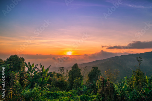 Beautiful mountain scenery view on with forest at sunset time, Bali, Indonesia