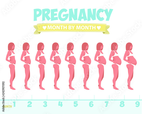 Pregnant beautiful woman vector infographics. Female with fetus in belly.stages of fetal development. Isolated on white background. 