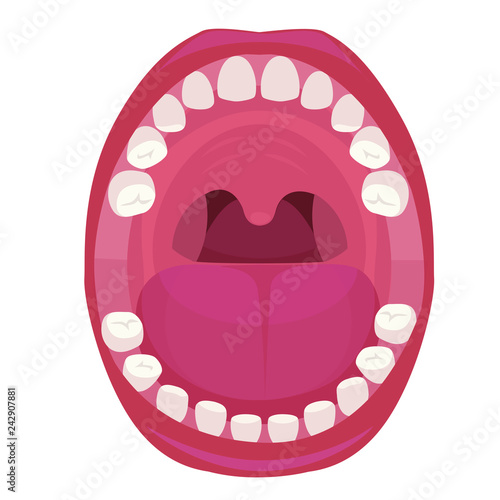 Anatomy of Human Mouth. Vector illustration