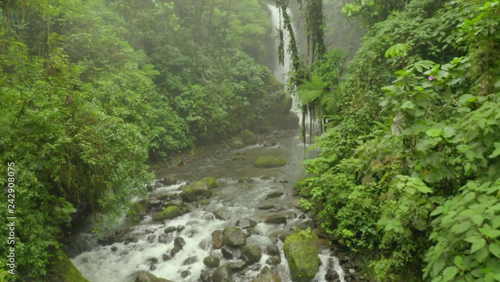 Low Aerial: Scenic Waterfall in the Lush Green Jungle Low Aerial: Scenic Waterfall in the Lush Green Jungle