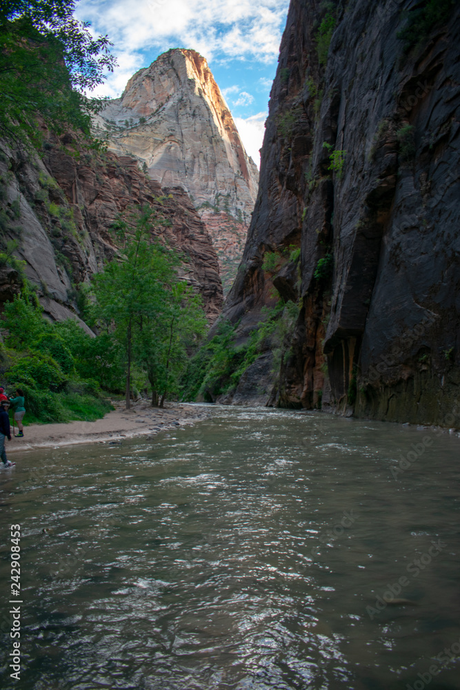 Naklejka premium Zion National Park: The Narrows