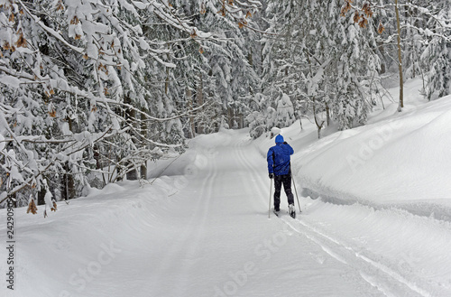 Cross-country skiing. Young man doing outdoor exercise. Winter sport and healthy lifestyle.