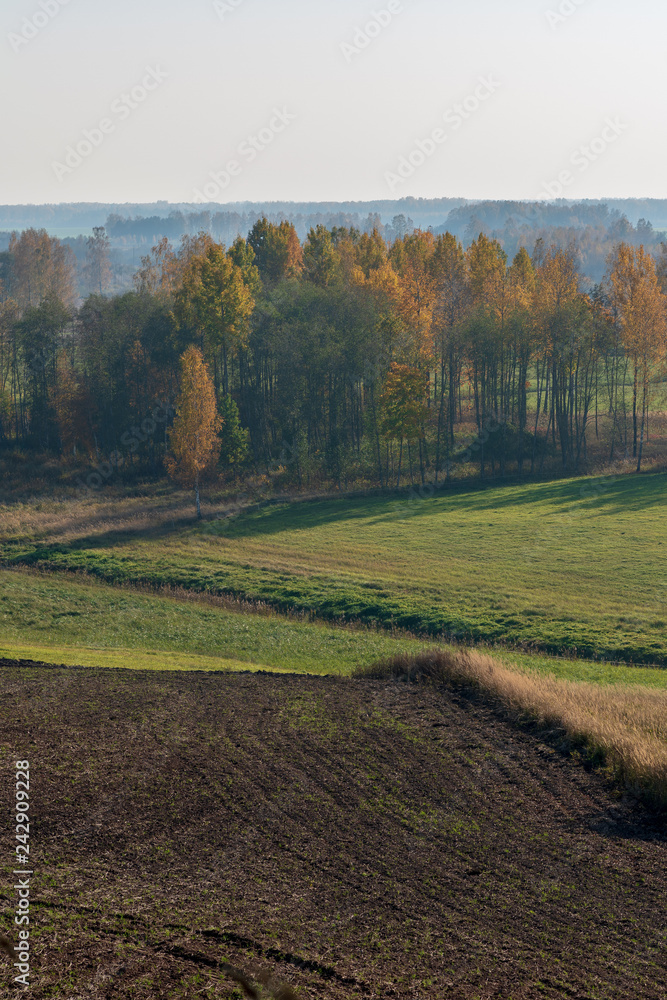 brown treated field and green meadow with trees; forest in the distance with the beauty of autumn colors