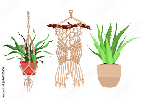 Macrame plant hangers for scandinavian interior.