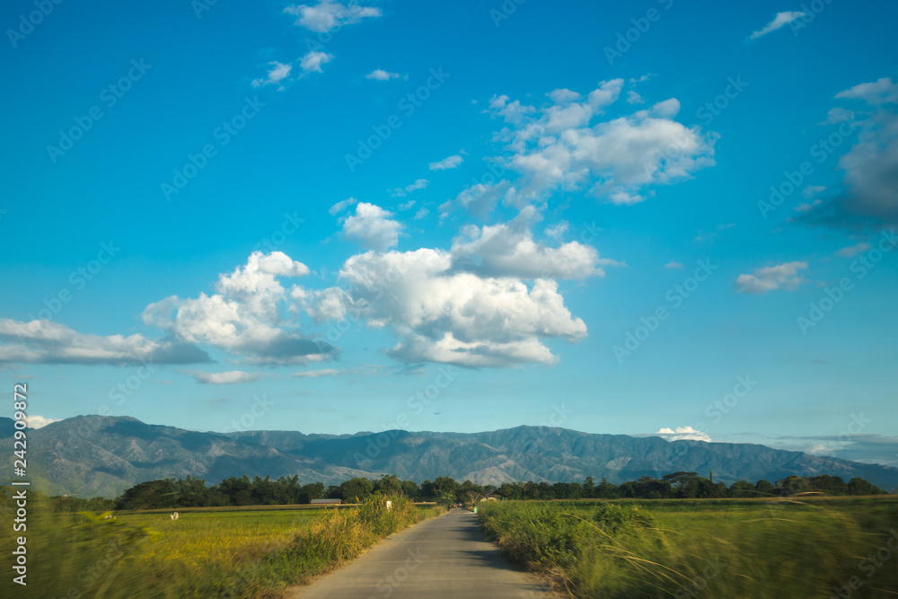 Provincial tropical road in Southeast Asia with green rice fields with blue sky
