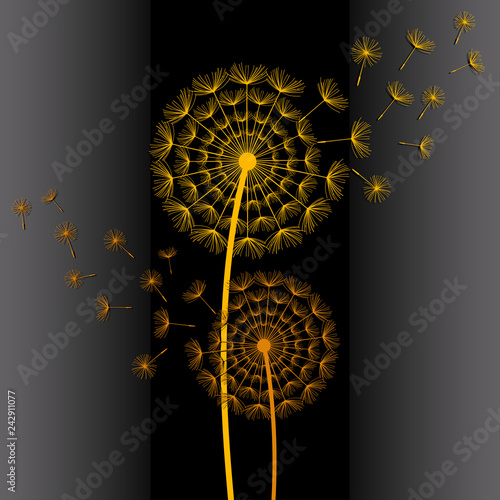 Fototapeta Naklejka Na Ścianę i Meble -  Wallpaper with two colorful dandelions blowing