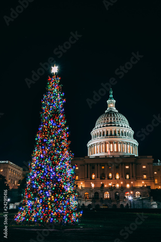 Obraz na płótnie capitol Christmas 