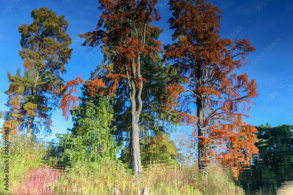 Fototapeta premium Abstract trees reflection on rippled water surface