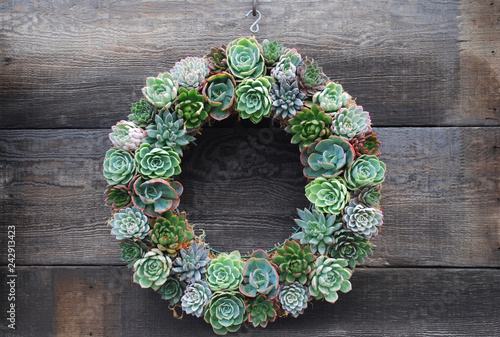 Succulent Wreath