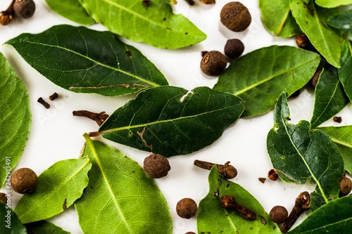 Quadro su tela Green bay leaf, clove and allspice on white.