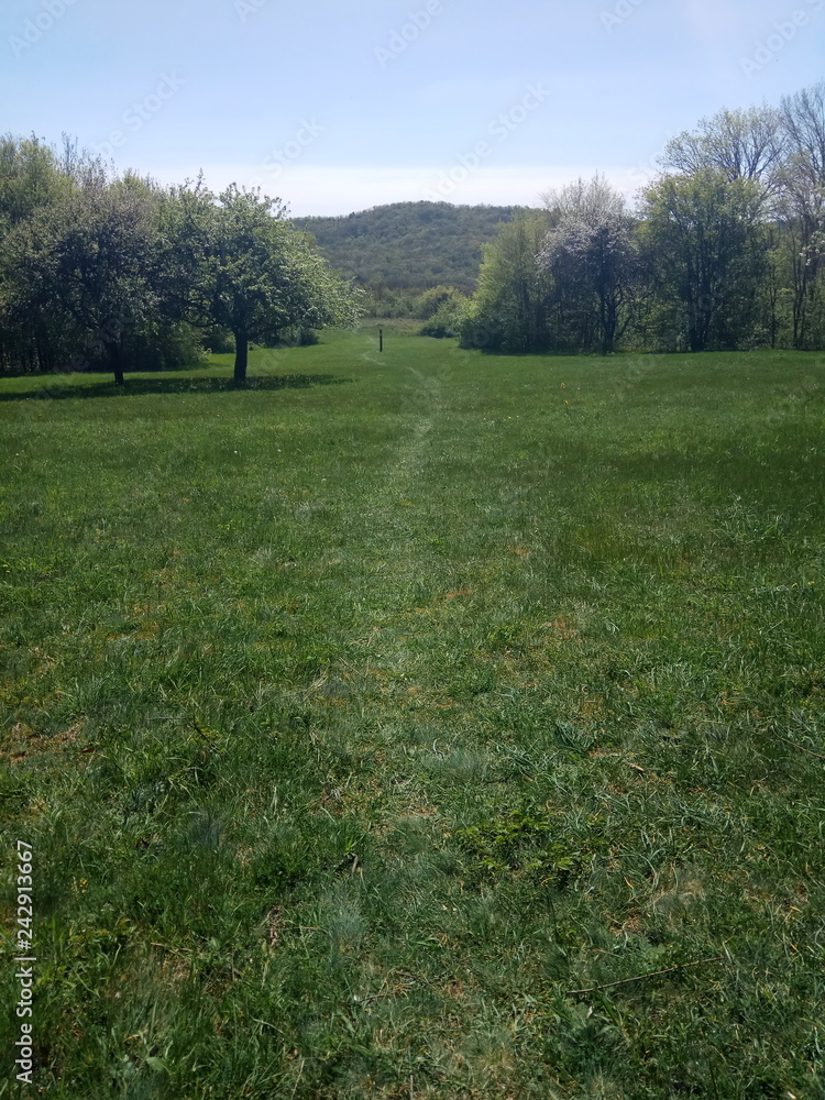 Obraz premium Krimea