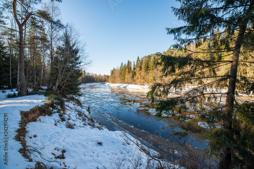 sandstone cliffs on the shore of river Gauja in Latvia