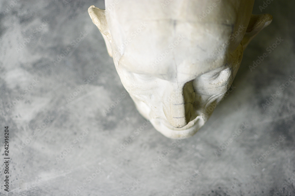 Gypsum head ecorh on a stone background. Copy space. Gypsum head ecorh on a stone background. Copy space.
