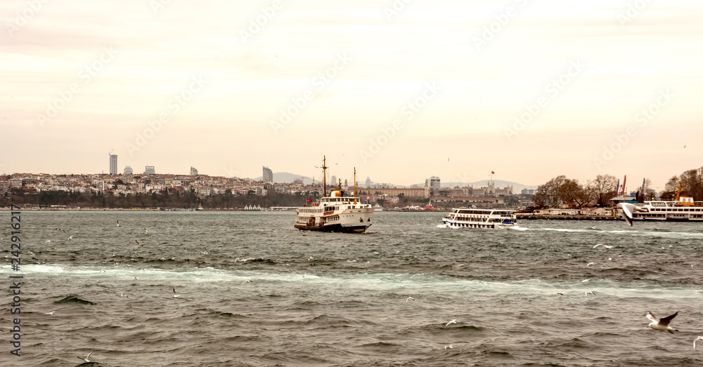 Fototapeta premium Beautiful View touristic landmarks from sea voyage on Bosphorus. turkish steamboats, view on Golden Horn.
