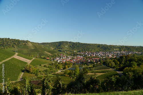 Village in the vineyards