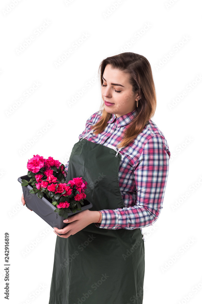 woman professional gardener or florist in apron holding flowers in a pot isolated on white background woman professional gardener or florist in apron holding flowers in a pot isolated on white background