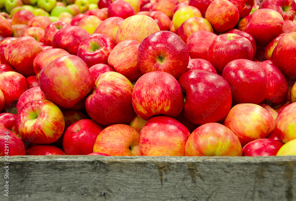 red and yellow Michigan apples in rustic wooden crate red and yellow Michigan apples in rustic wooden crate
