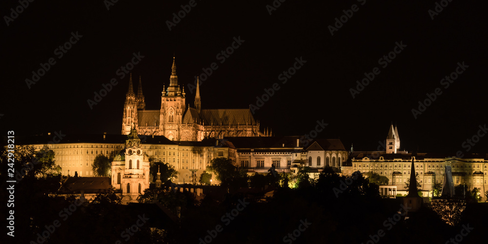 The view of Prague Gothic Castle at night, Czech Republic