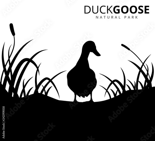 duck or goose with grass savannah vector logo illustration photo