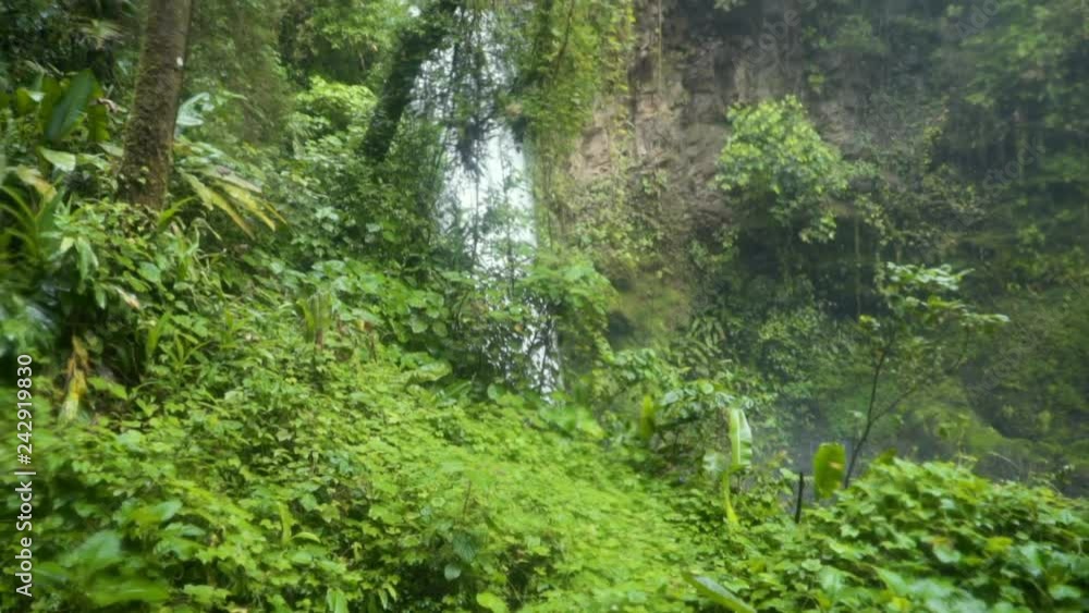 Slow Motion: Beautiful Waterfall in the Jungle Slow Motion: Beautiful Waterfall in the Jungle