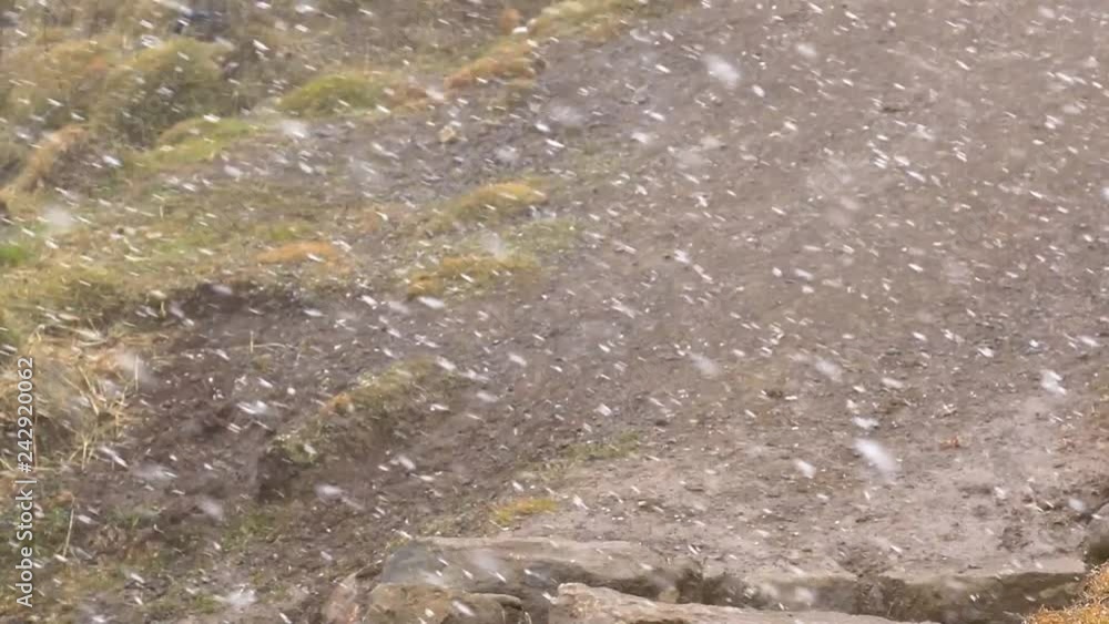 detail of snowfall in the Andean heights detail of snowfall in the Andean heights