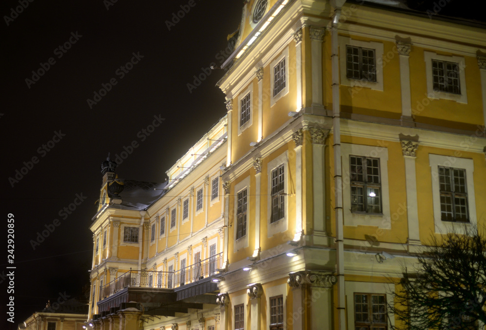 The Menshikov Palace in Saint Petersburg. The Menshikov Palace in Saint Petersburg.