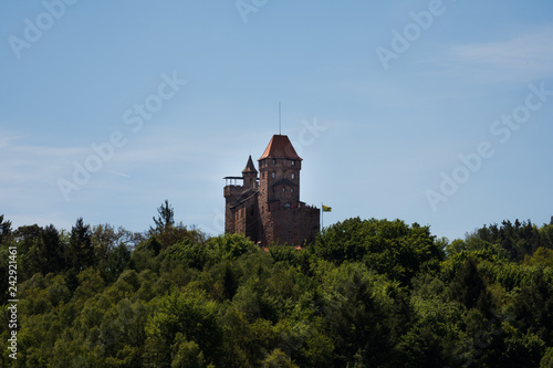 Berwartstein Castle,Burg Berwartstein,Germany,2017 photo