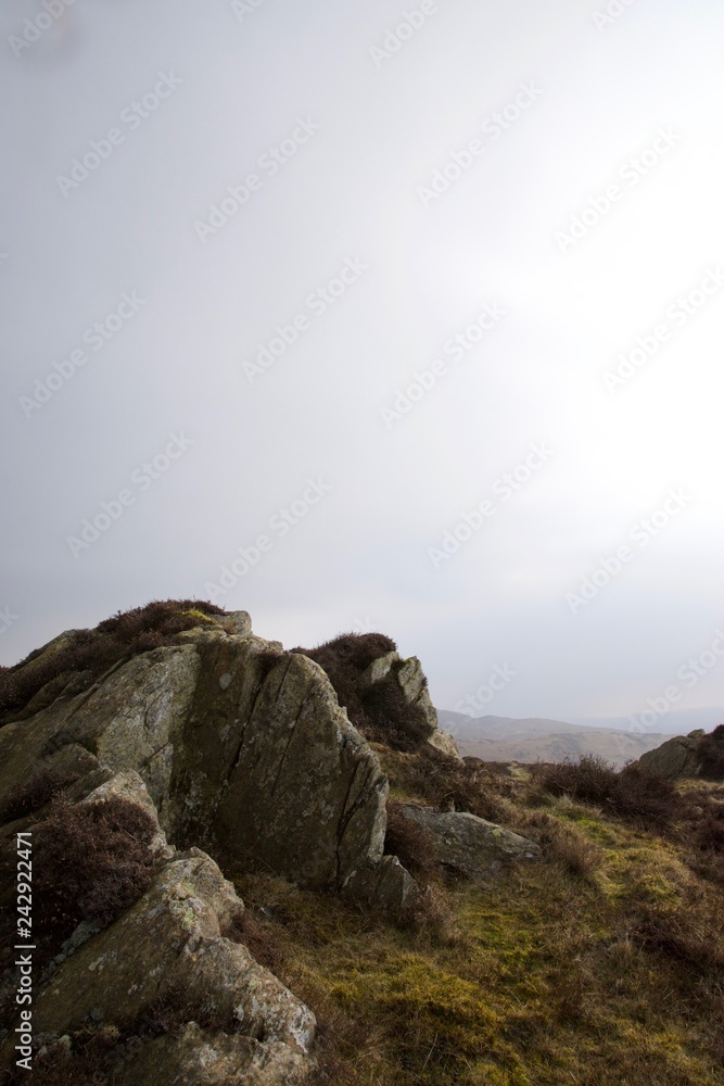Heather on rocks on moorland in North England