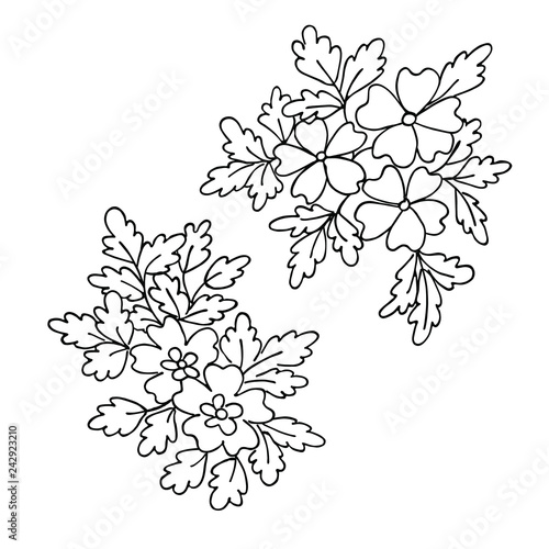 Hand drawing flowers, motive design, embroidery design in vector.