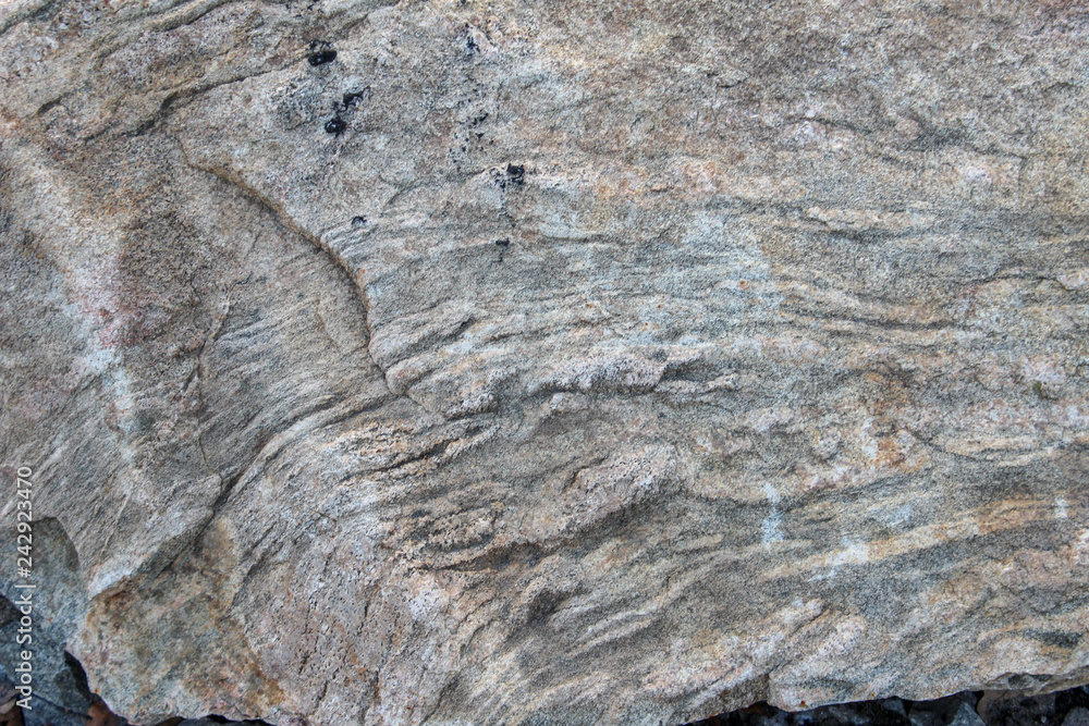 fossil rock fossil rock