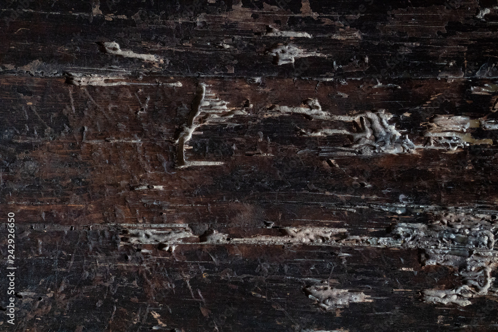 old wood texture