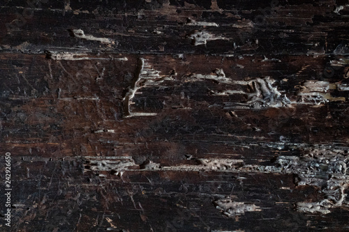 Obraz na płótnie old wood texture w salonie