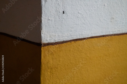 Obraz na płótnie yellow wall texture w salonie