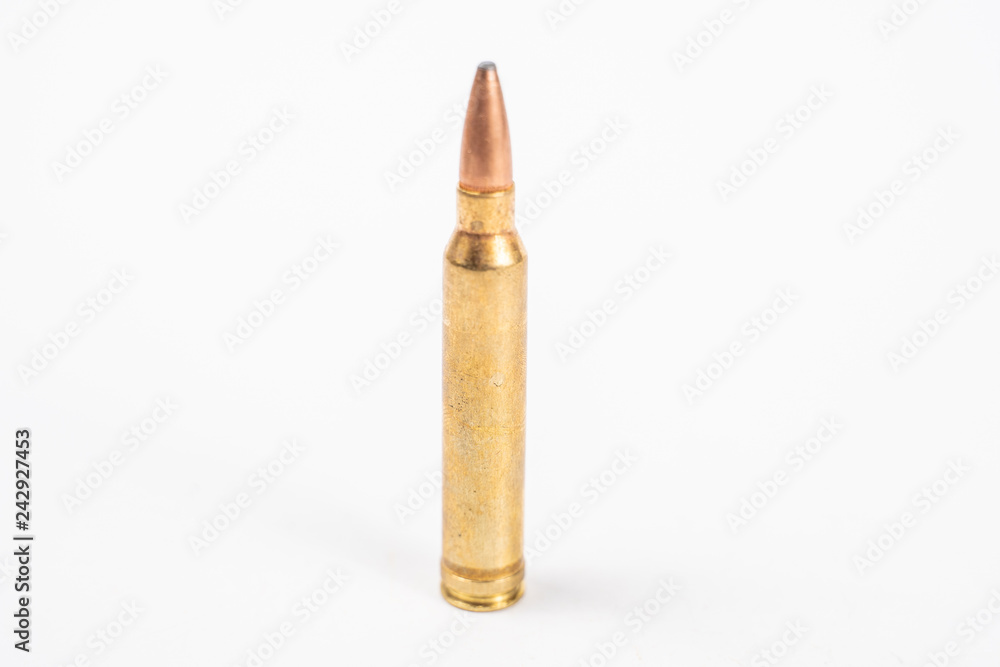 .300 Win Mag Round .300 Win Mag Round
