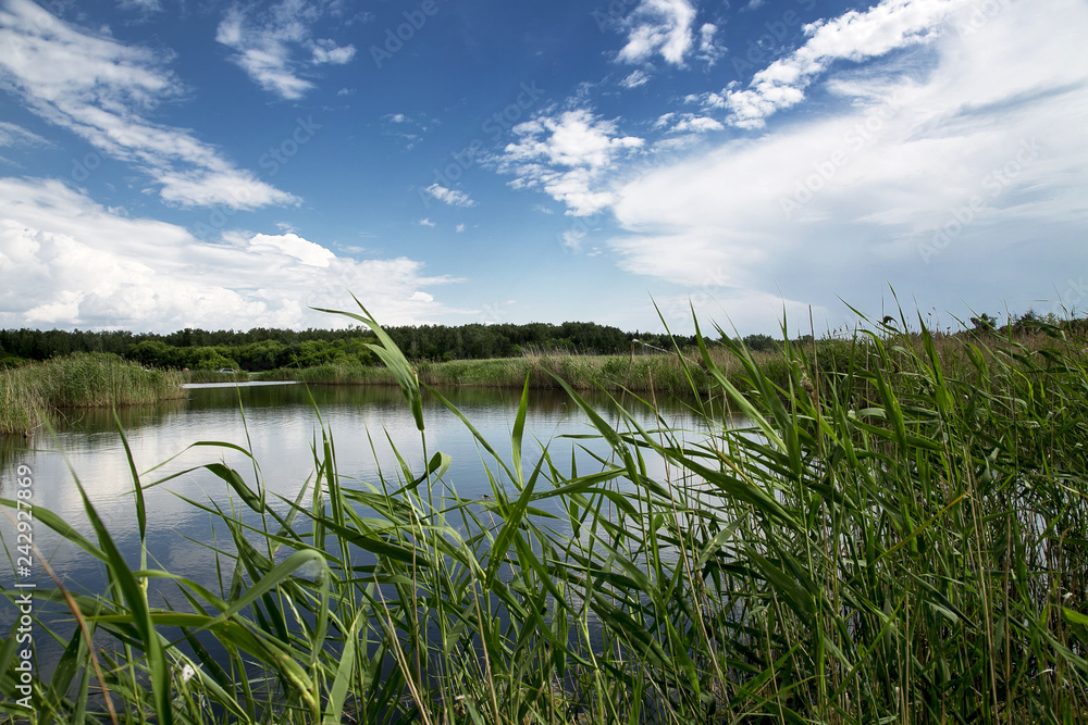 A small lake in the Park of Omsk