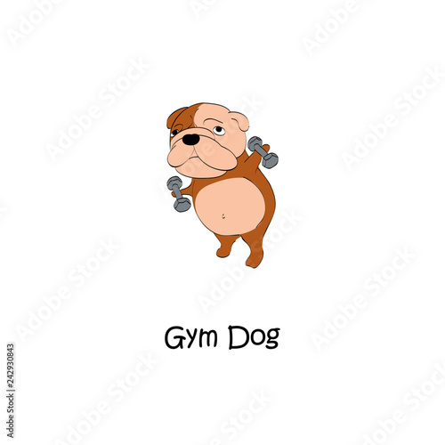 Gym dogs