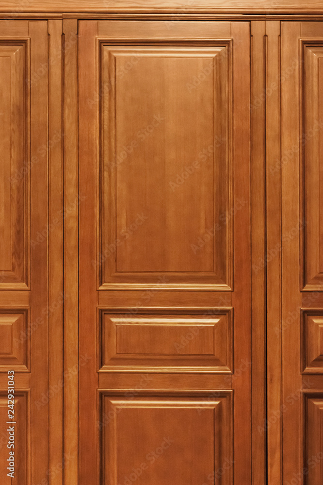 Wooden panel. Part of a wooden door or wall Wooden panel. Part of a wooden door or wall