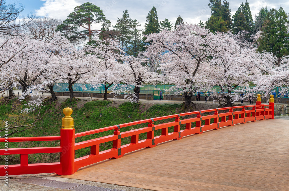 Cherry blossom and red bridge at Tsuruga-jo castle, Aizu-wakamatsu, Japan. Cherry blossom and red bridge at Tsuruga-jo castle, Aizu-wakamatsu, Japan.