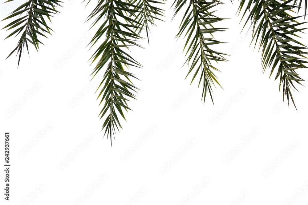 white green background white green background