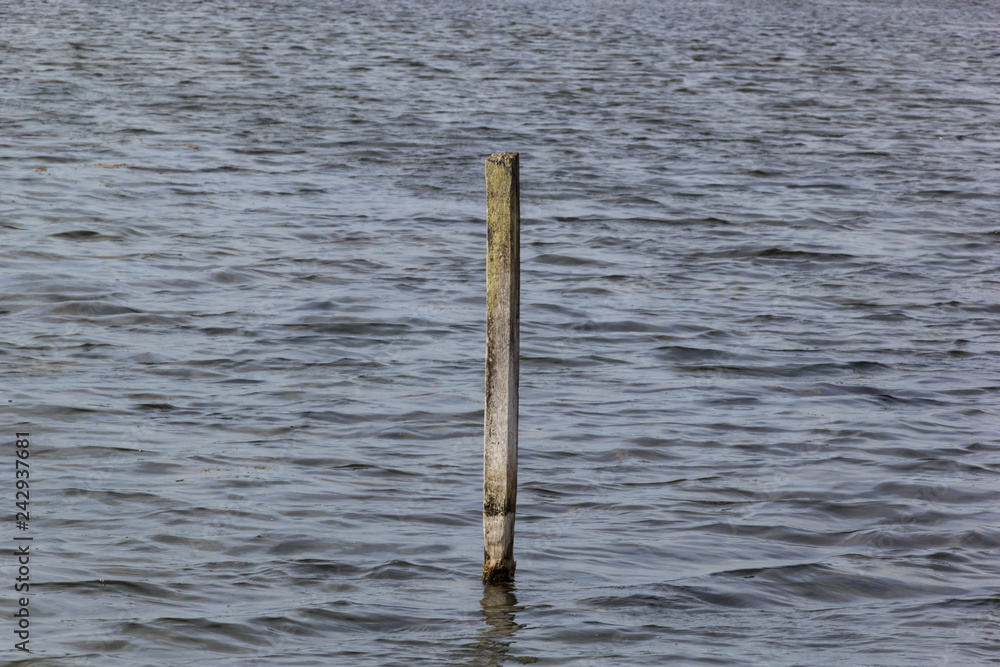 Wooden pole in the water Wooden pole in the water