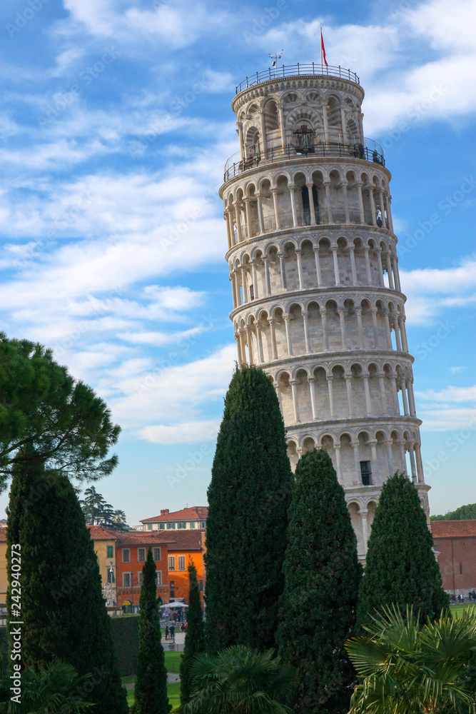View to Pisa leaning tower from city wall with green cypress and palm tree, Tuscany, Italy