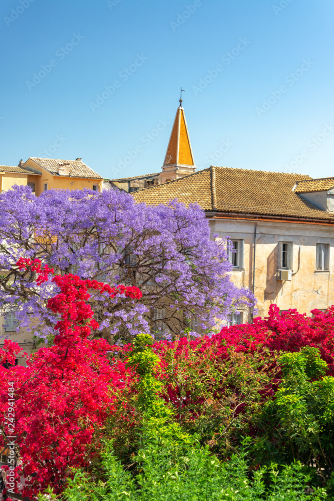 Colorful Corfu Greece