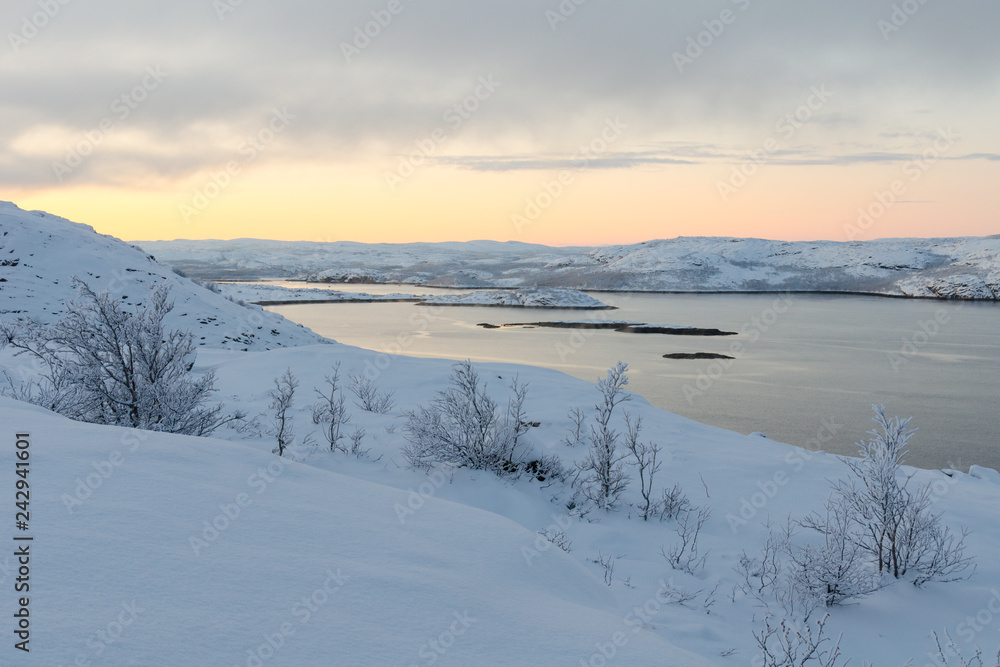Winter landscape, trees covered with frost, shore, sea. Winter landscape, trees covered with frost, shore, sea.