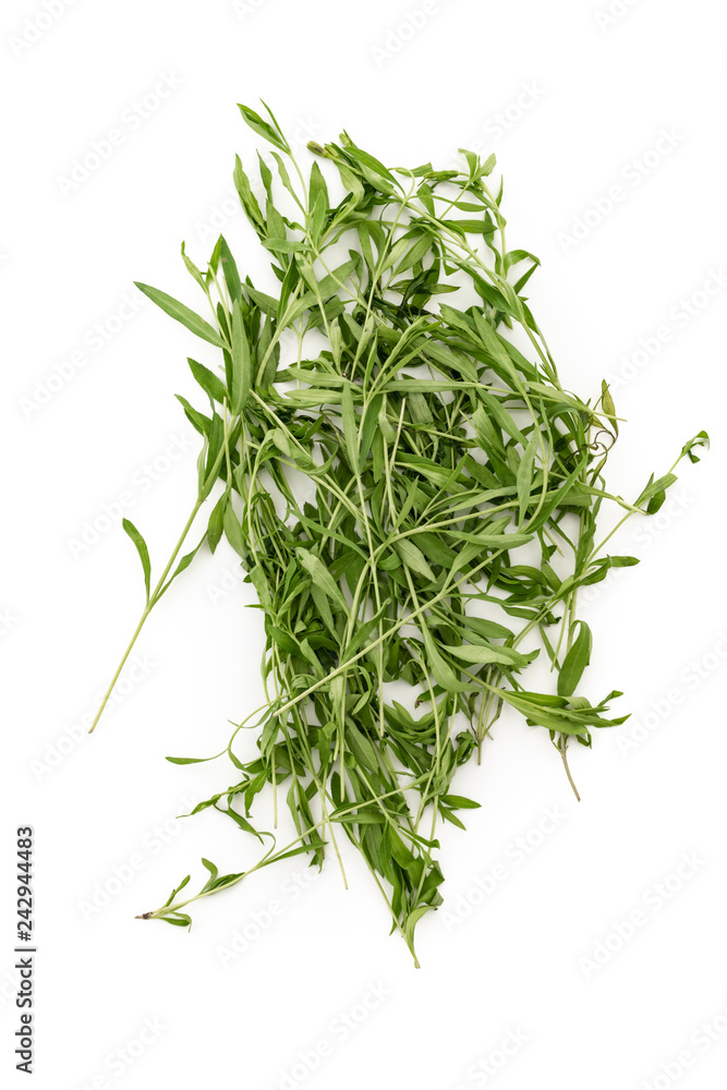Tarragon herbs close up isolated on white background
Tarragon herbs close up isolated on white background