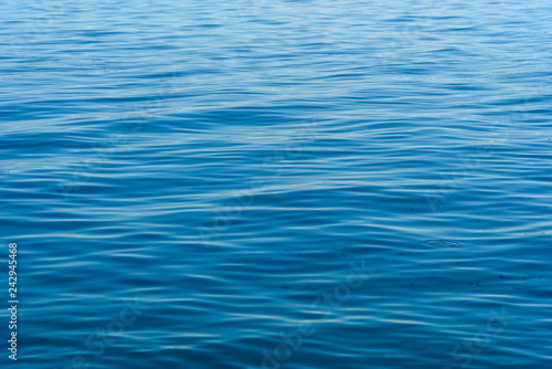 Fototapeta Naklejka Na Ścianę i Meble -  Sea water with smal fish background