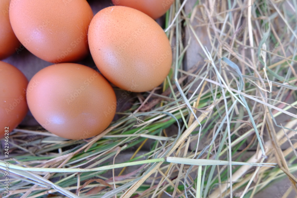Chicken eggs in nest of straw on old wooden background. Chicken eggs in nest of straw on old wooden background.