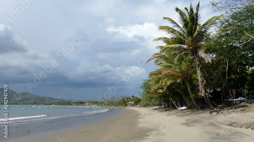 tropical beach with palm trees © Adebo