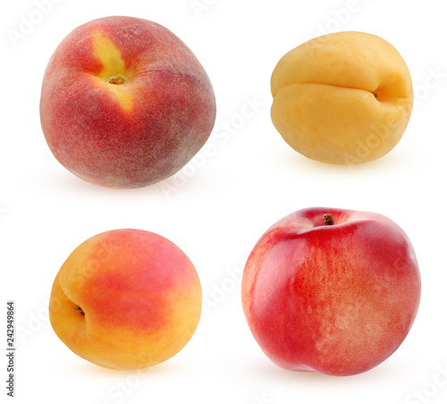 peach, apricot and nectarine isolated on white background.