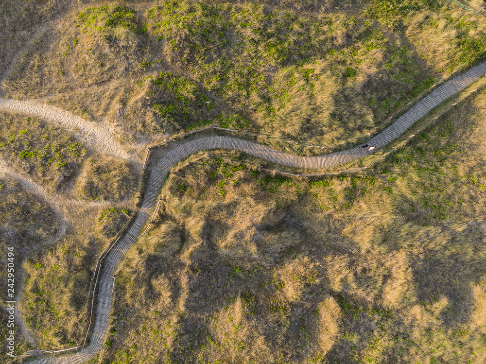 Drone bird's eye aerial view of grassy sand dunes on beach landscape at sunrise on English coast