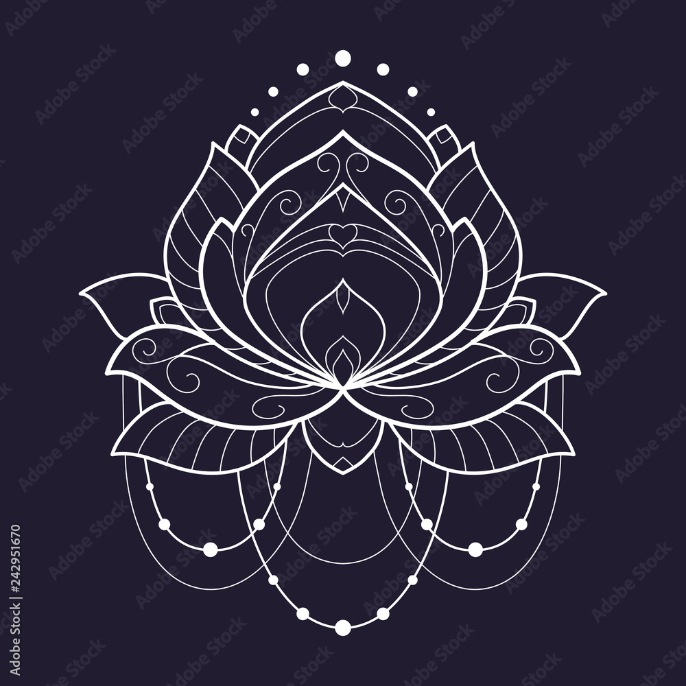 Lotus flower white geometrical vector illustration is isolated on a ...
